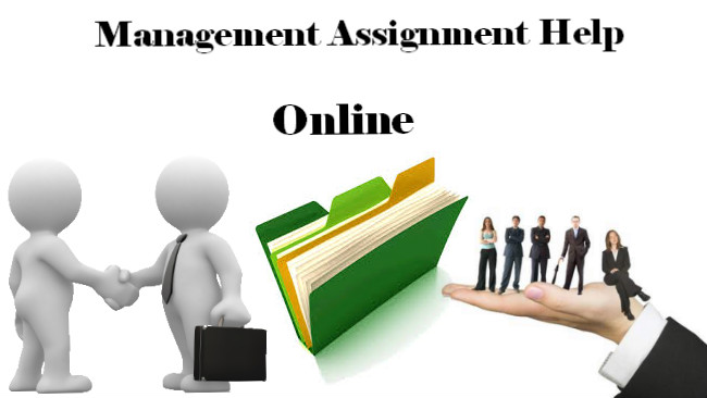 Management Assignment Help